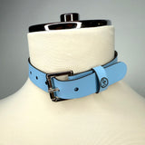 Good Boy Collar