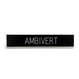 Ambivert Pin