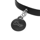 Toy Collar Tag