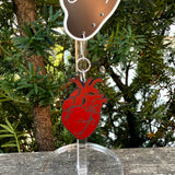 Anatomical Heart Earrings