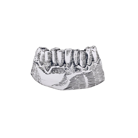 Jaw and Teeth Pin