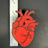 Anatomical Heart Hair Clip