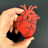 Anatomical Heart Hair Clip